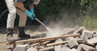 Dedetização Escorpião Valor