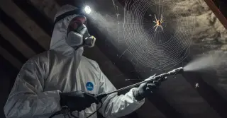 Dedetização para Aranha Marrom