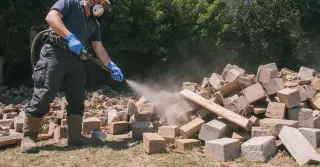 Dedetizar Escorpiao Resolve